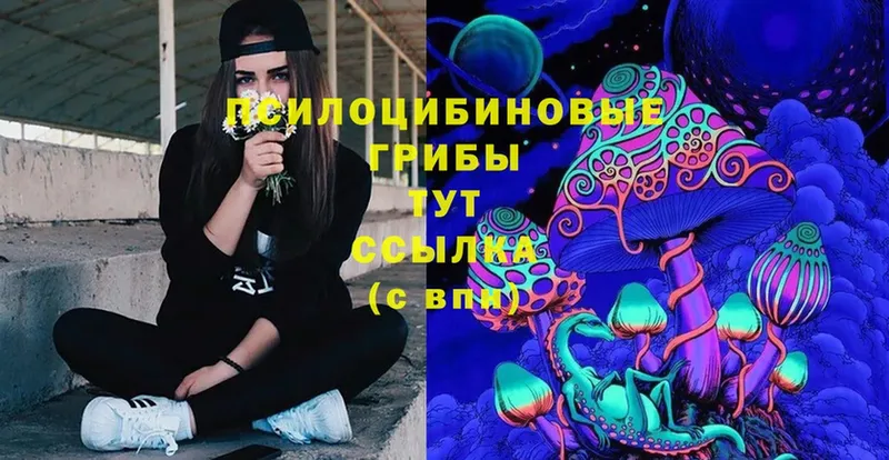 Галлюциногенные грибы Psilocybe  Симферополь 